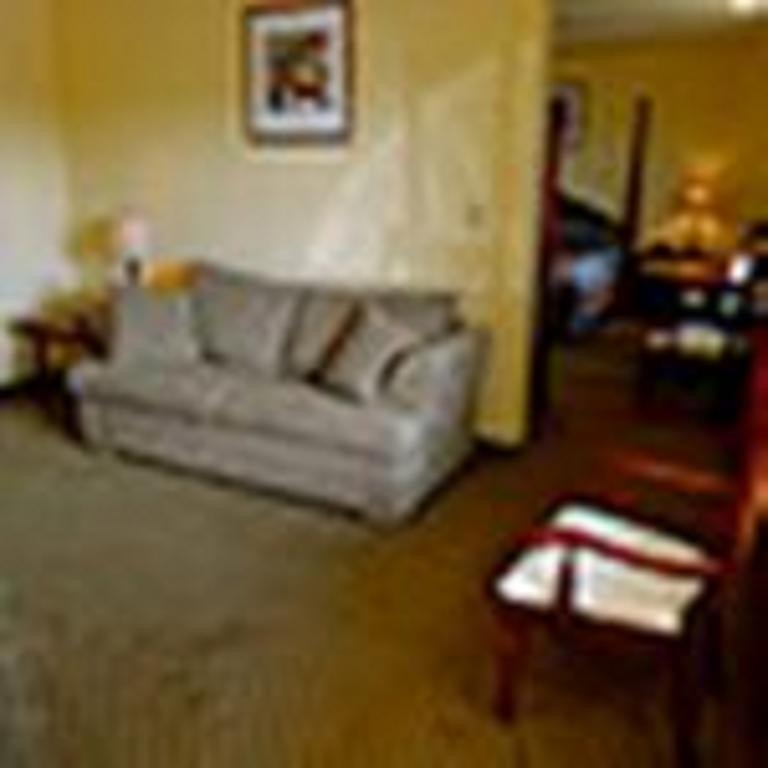 The Whispering Pines Motel- Whitestone White Stone Экстерьер фото