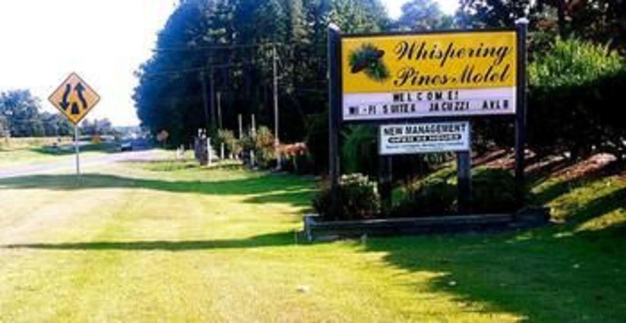 The Whispering Pines Motel- Whitestone White Stone Экстерьер фото